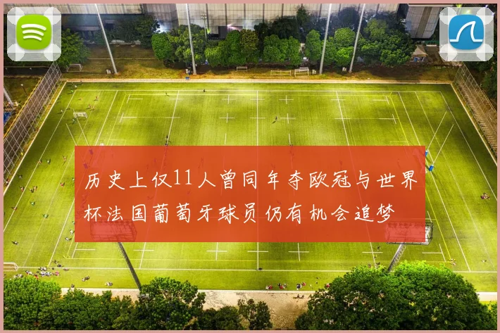历史上仅11人曾同年夺欧冠与世界杯法国葡萄牙球员仍有机会追梦